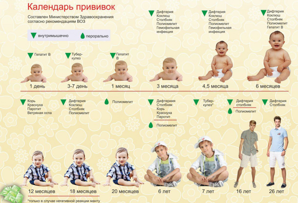 Все прививки для новорожденных по календарю прививок в Клинике детского  здоровья Медведик
