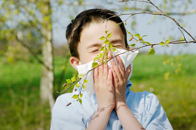 Как распознать аллергию на пыльцу растений?